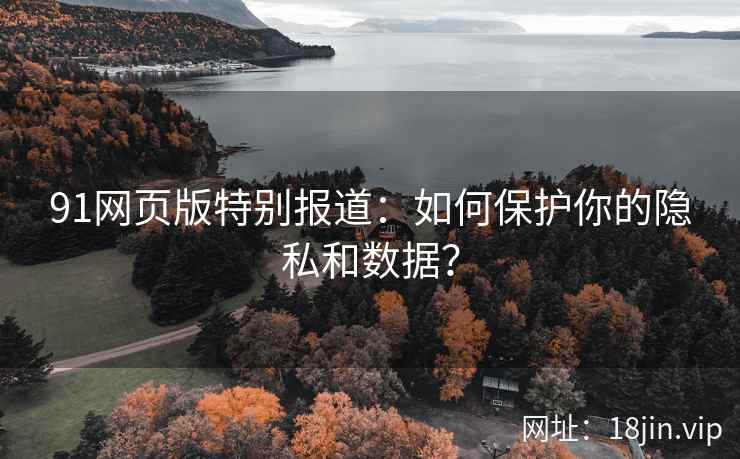 91网页版特别报道：如何保护你的隐私和数据？