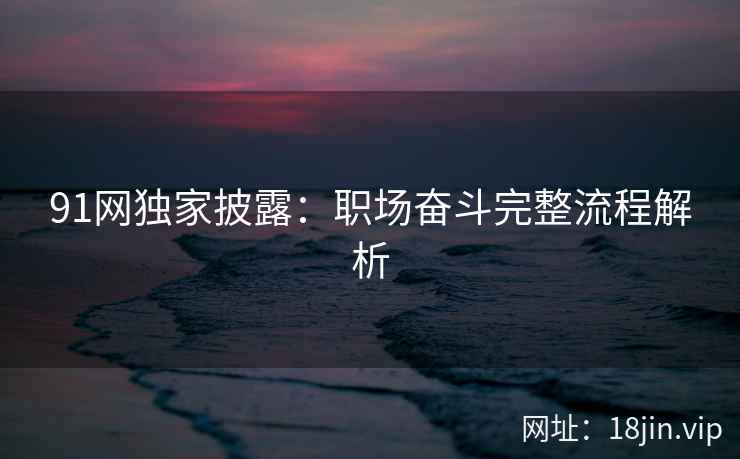 91网独家披露：职场奋斗完整流程解析