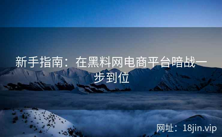 新手指南：在黑料网电商平台暗战一步到位