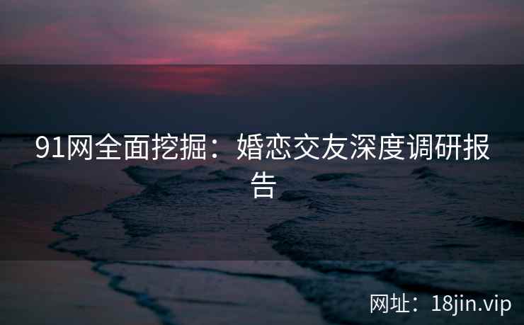 91网全面挖掘：婚恋交友深度调研报告