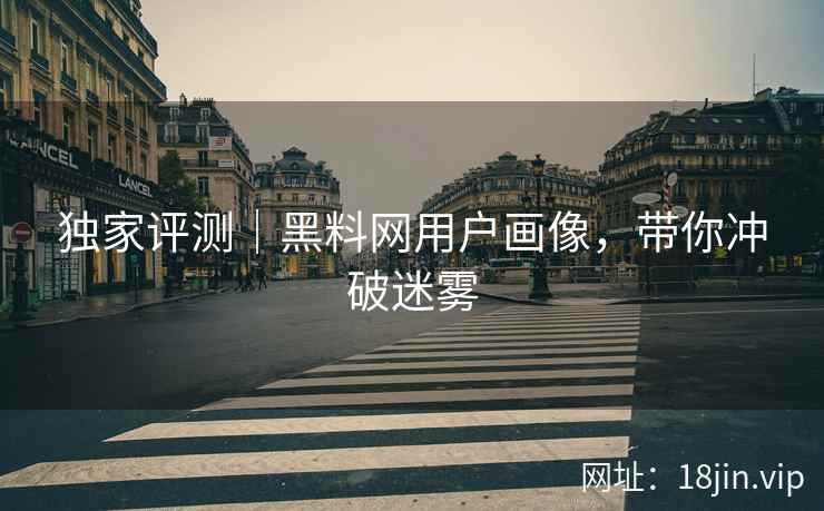 独家评测｜黑料网用户画像，带你冲破迷雾