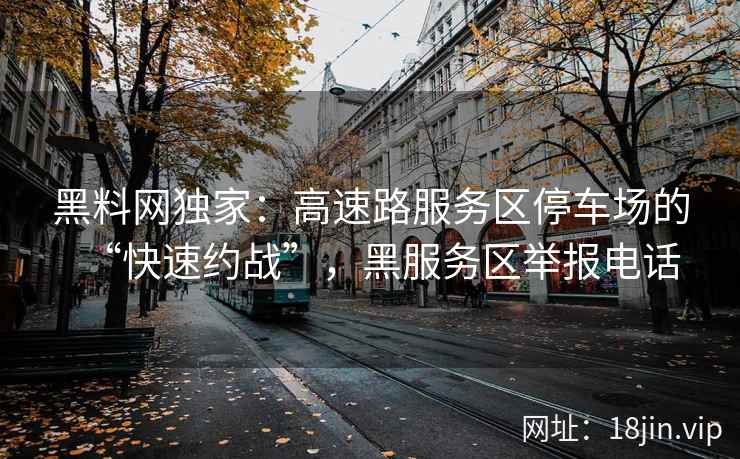 黑料网独家：高速路服务区停车场的“快速约战”，黑服务区举报电话