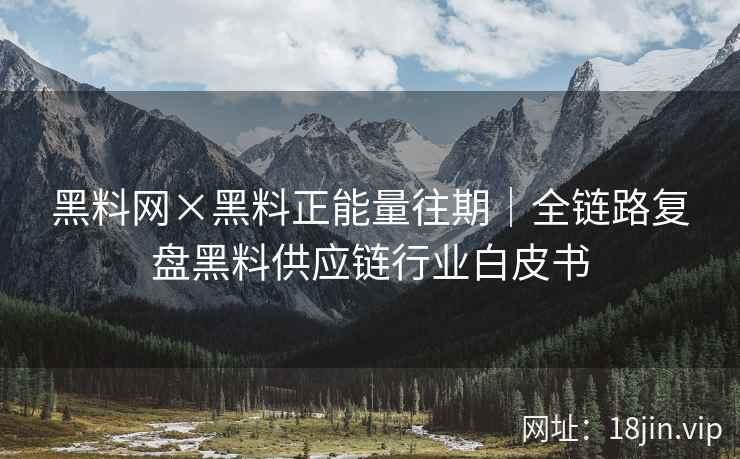 黑料网×黑料正能量往期｜全链路复盘黑料供应链行业白皮书