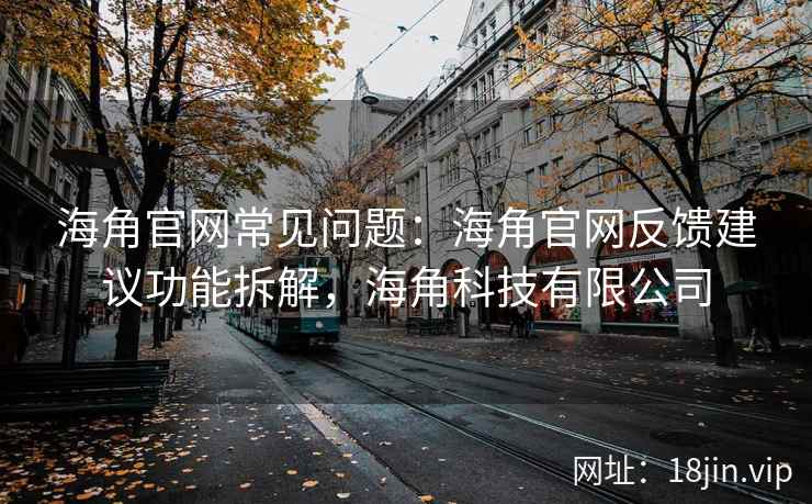 海角官网常见问题：海角官网反馈建议功能拆解，海角科技有限公司