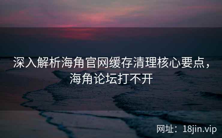 深入解析海角官网缓存清理核心要点，海角论坛打不开